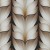3953c2d1133536870ac8e38d399fe9ee