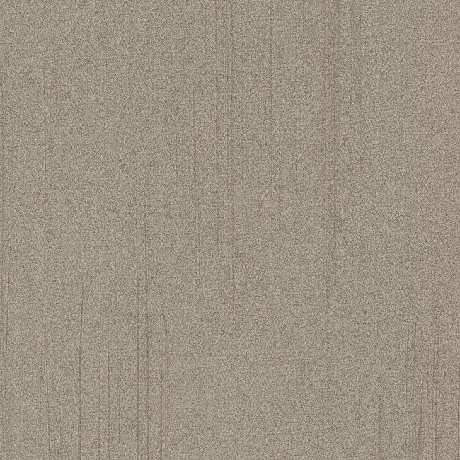 6e128f3ebcb3cc96d8a7ca188853e488