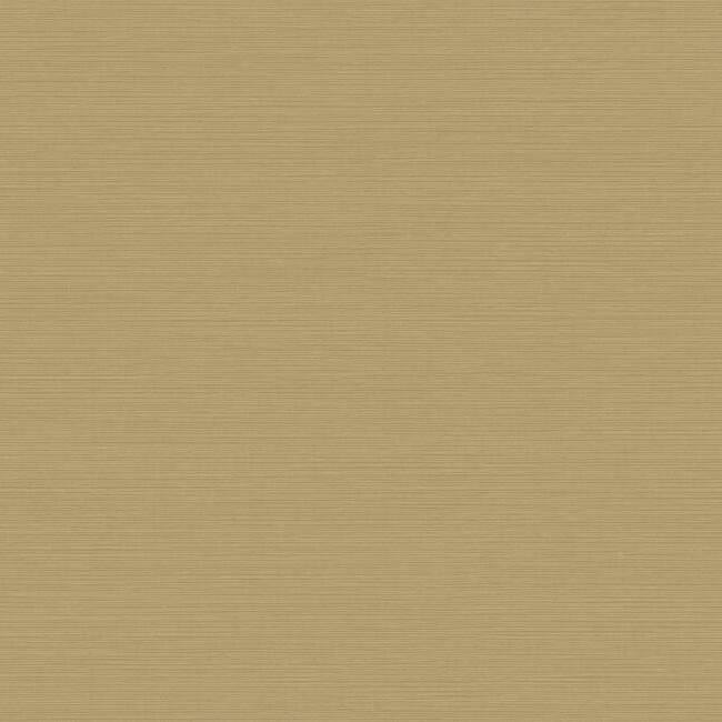 57f656d59d44cce69fbed402317252dd