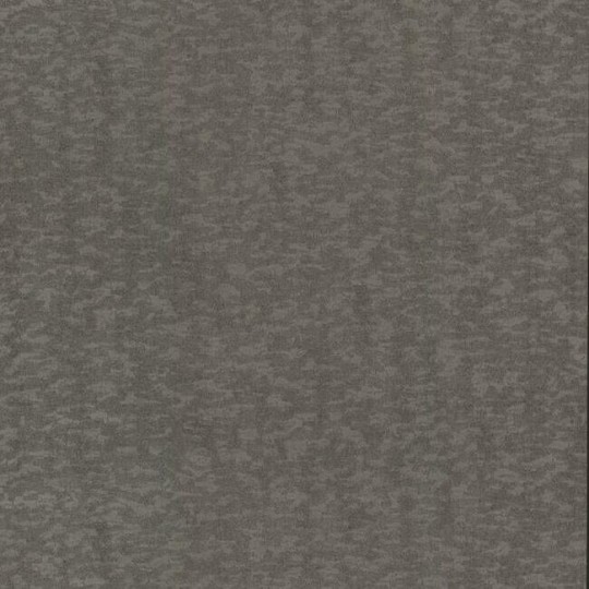 York DD3751 Antonina Vella Dazzling Dimensions Vol II Weathered Cypress Warm Silver - tapeta imitująca korę