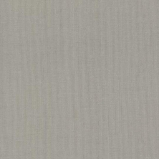 York DD3774 Antonina Vella Dazzling Dimensions Vol II Gossamer Woven Silver/Grey - szara tapeta strukturalna