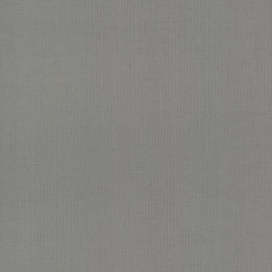 York DD3775 Antonina Vella Dazzling Dimensions Vol II Gossamer Woven Silver/Blue - szara tapeta strukturalna
