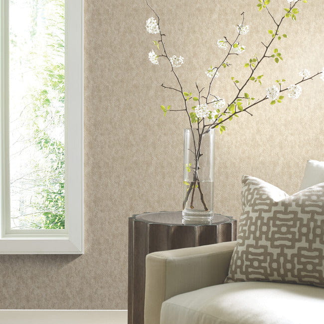 York WP-1157 Antonina Vella Modern Metals Second Edition Shimmering Patina On Cream - tapeta z efektem metalicznej patyny