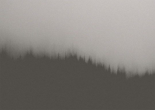 Texturae TXWF19643 Figure Nature Fire Forest A - mural w motyw lasu we mgle