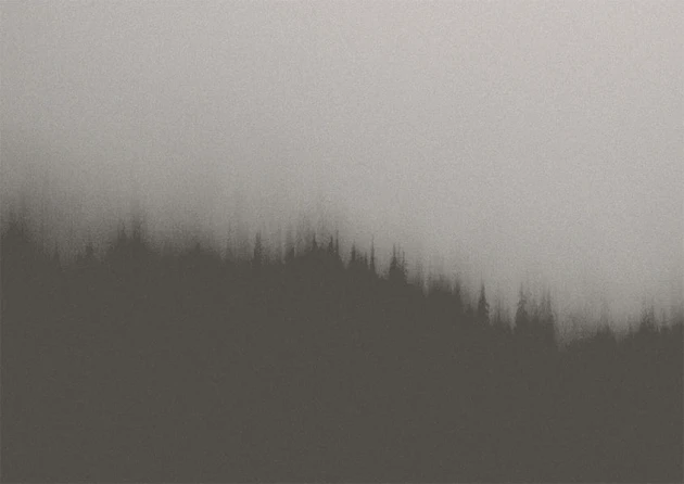 Texturae TXWF19643 Figure Nature Fire Forest A - mural w motyw lasu we mgle