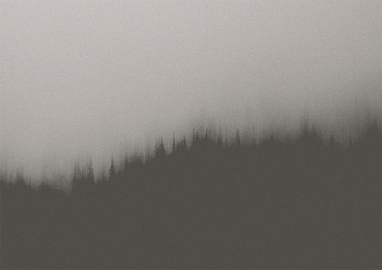 Texturae TXWF19643 Figure Nature Fire Forest B - mural w motyw lasu we mgle