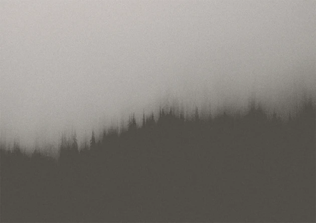 Texturae TXWF19643 Figure Nature Fire Forest B - mural w motyw lasu we mgle