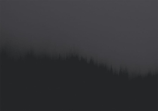 Texturae TXWF19640 Figure Nature Fire Forest A - mural w motyw lasu we mgle