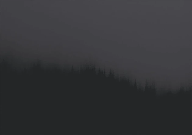 Texturae TXWF19640 Figure Nature Fire Forest A - mural w motyw lasu we mgle