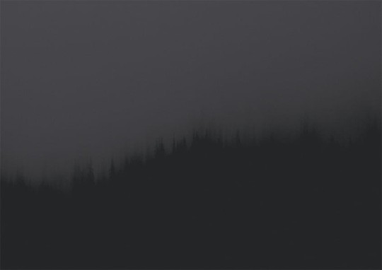 Texturae TXWF19640 Figure Nature Fire Forest B - mural w motyw lasu we mgle