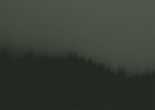 Texturae TXWF19641 Figure Nature Fire Forest A - mural w motyw lasu we mgle