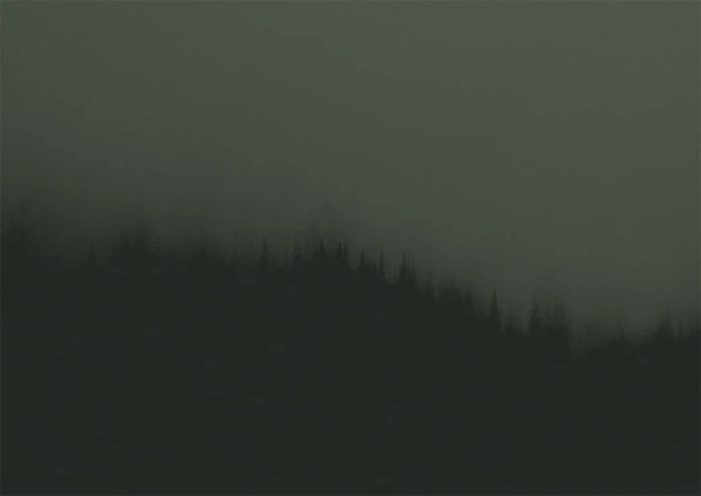 Texturae TXWF19641 Figure Nature Fire Forest A - mural w motyw lasu we mgle