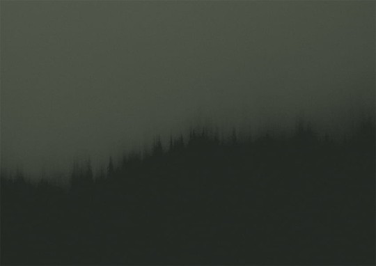 Texturae TXWF19641 Figure Nature Fire Forest B - mural w motyw lasu we mgle