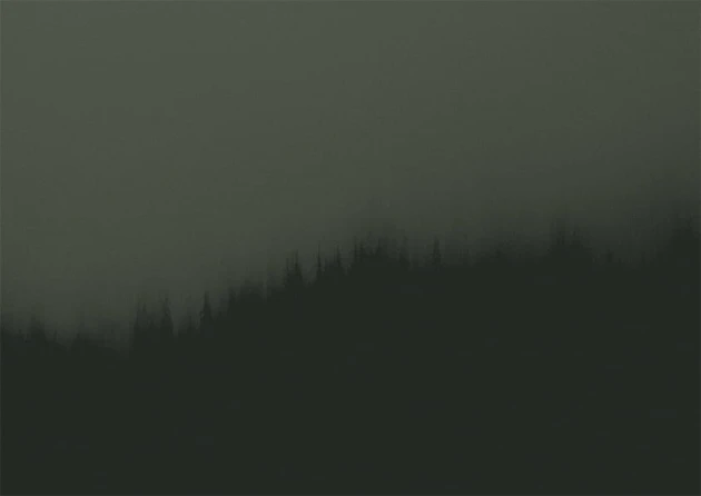 Texturae TXWF19641 Figure Nature Fire Forest B - mural w motyw lasu we mgle