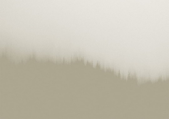 Texturae TXWF19642 Figure Nature Fire Forest A - mural w motyw lasu we mgle