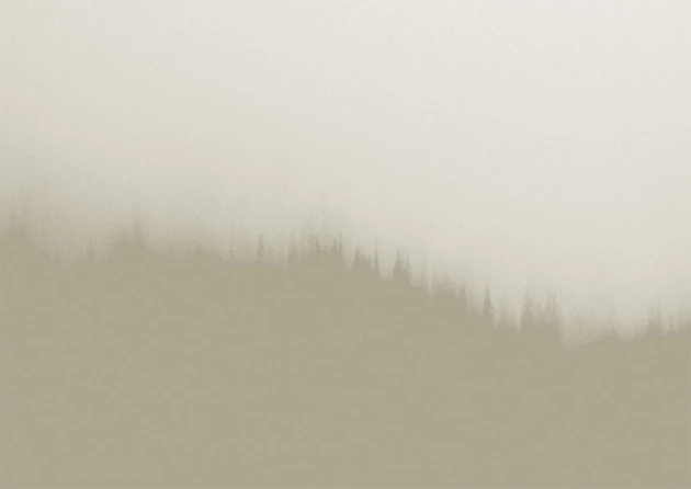 Texturae TXWF19642 Figure Nature Fire Forest A - mural w motyw lasu we mgle