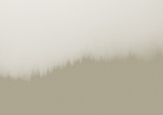 Texturae TXWF19642 Figure Nature Fire Forest B - mural w motyw lasu we mgle