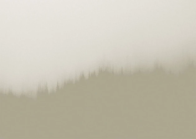 Texturae TXWF19642 Figure Nature Fire Forest B - mural w motyw lasu we mgle