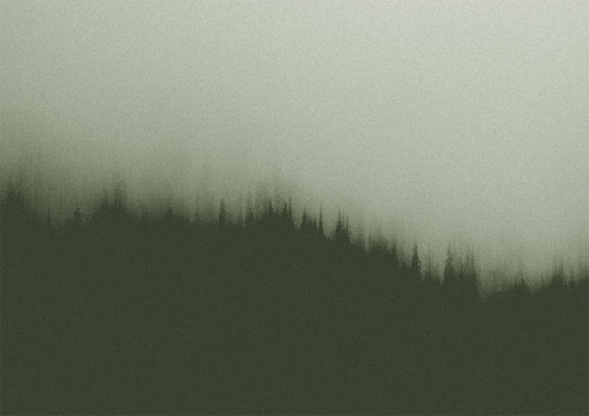 Texturae TXWF19639 Figure Nature Fire Forest A - mural w motyw lasu we mgle