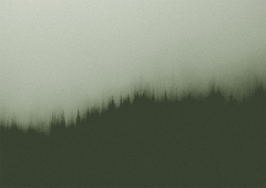 Texturae TXWF19639 Figure Nature Fire Forest B - mural w motyw lasu we mgle