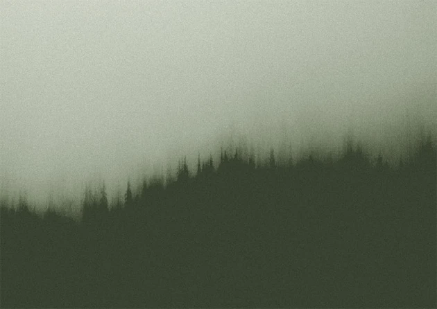 Texturae TXWF19639 Figure Nature Fire Forest B - mural w motyw lasu we mgle