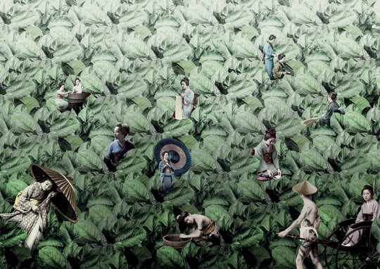 Texturae TXWR16297 Figure Nature Masami A - mural w japoński motyw