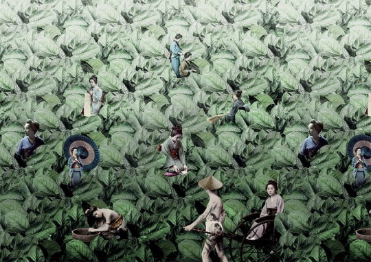 Texturae TXWR16297 Figure Nature Masami B - mural w japoński motyw