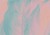 e4dab68bfffffa5ac03afbfe969a555a