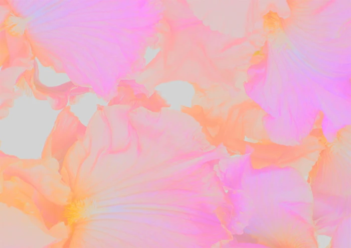 d83c35821c19e0e5b1d5d6ca1b8fca95