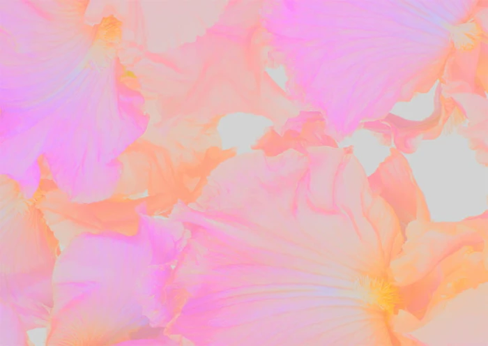 6769121af3923468474610f5ff3d0d00
