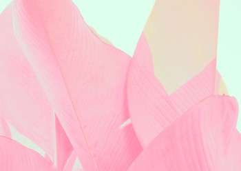 1aab2bc9049a95fc9a57a9f77b1ba0ed