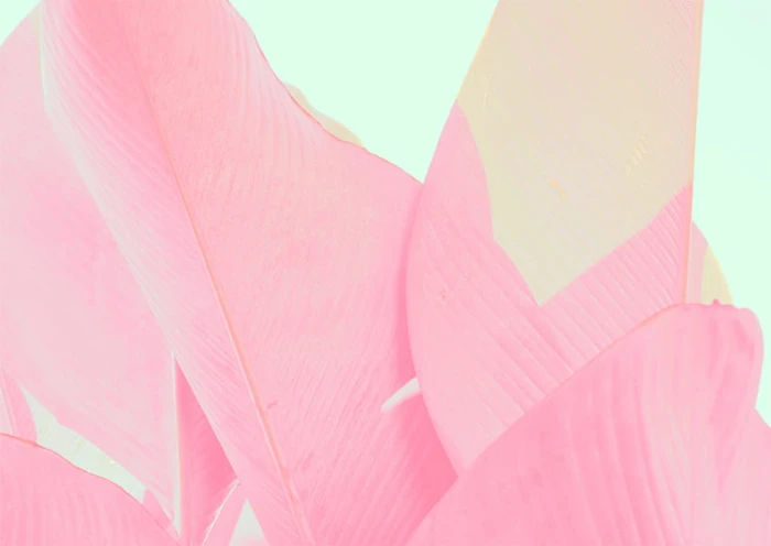 1aab2bc9049a95fc9a57a9f77b1ba0ed