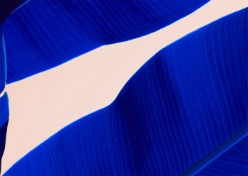 d0e2b2a0a3234904e7b0791a0b9b482d