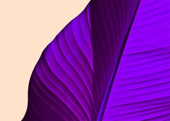 b52214ab751059a785e65c9d75fcc665