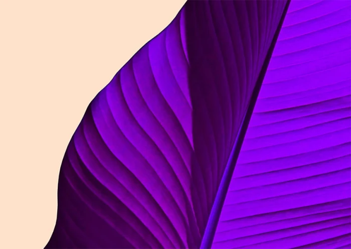 b52214ab751059a785e65c9d75fcc665