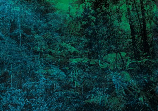 Texturae TXWR17324 Figure Nature Jungle A - mural w egzotyczny las