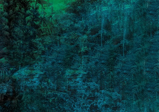 Texturae TXWR17324 Figure Nature Jungle B - mural w egzotyczny las