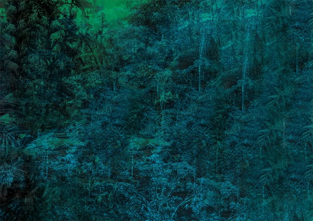 Texturae TXWR17324 Figure Nature Jungle B - mural w egzotyczny las