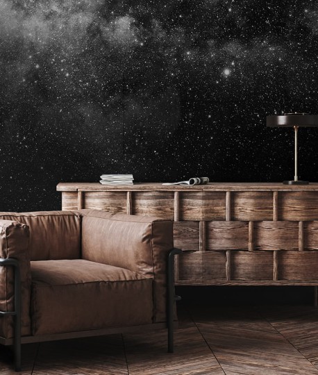 Texturae TXWR16222 Figure Nature Skylight A - mural w gwiazdy