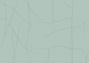 40f6b26112c9bb65d738ea77d41e0c8d