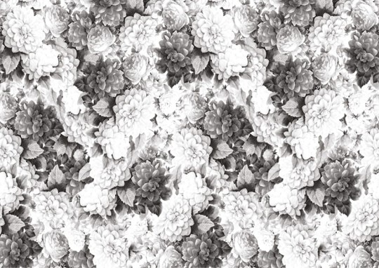 Texturae TXWR16250 Texture Nature Wintergarden A - mural w kwiaty