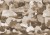501da756c3771a7a521d16279e4c8896