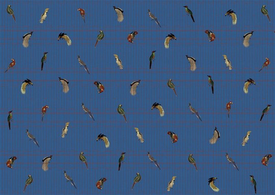 Texturae TXWR16257 Pattern Nature Ancient Nature Birds A - mural w ptaki