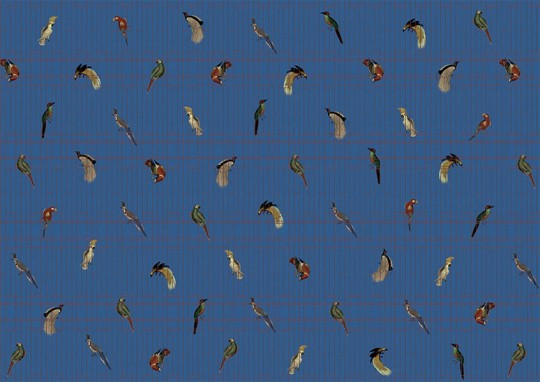 Texturae TXWR16257 Pattern Nature Ancient Nature Birds B - mural w ptaki