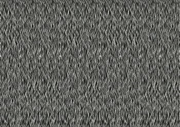 b55067b1b8875b9f12b945b2ceda5d97