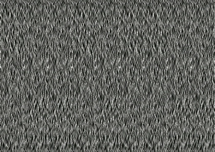 b55067b1b8875b9f12b945b2ceda5d97