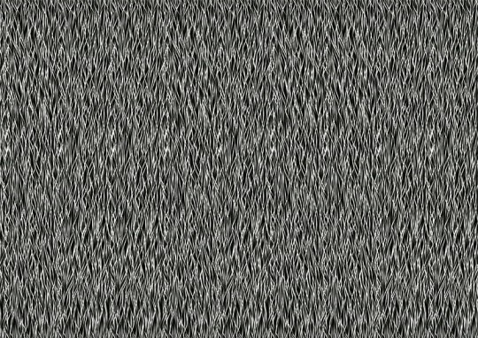 Texturae TXWP20003 Texture Abstract Hairspray B - mural w abstrakcyjny wzór