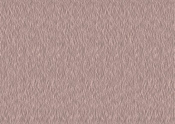 2b33ca5b7085a50a87ae4e26a8dac5f2