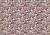 fbad9d57911031300a509ca77e386f80