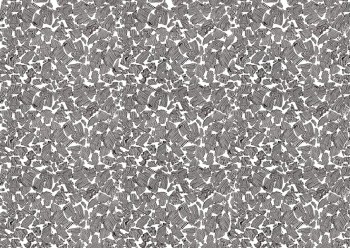 67a132aa1ff7392e7e3cfea3dbc57038